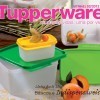 Conheça o catálogo Tupperware